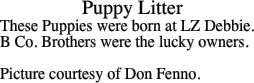 Puppy Litter